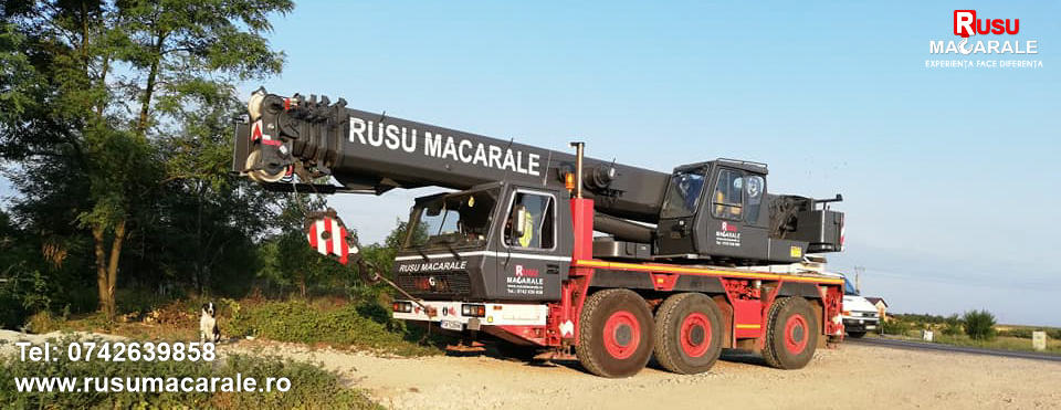 rusu macarale timisoara